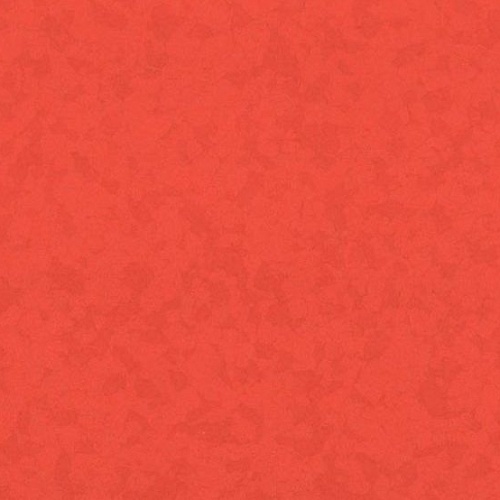 Taralay Premium Compact