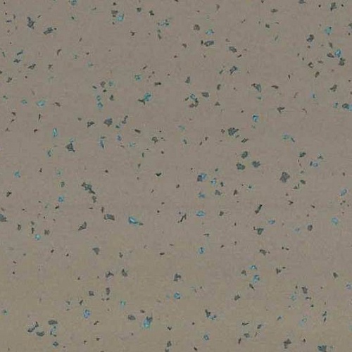 Taralay Premium Compact