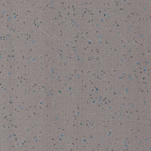 Taralay Element Compact