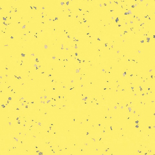 Taralay Premium Compact