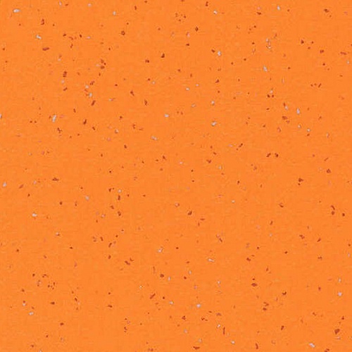 Taralay Element Compact