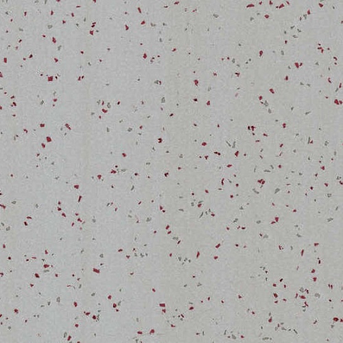 Taralay Element Compact