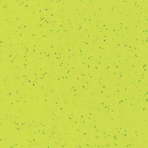 Taralay Element Compact