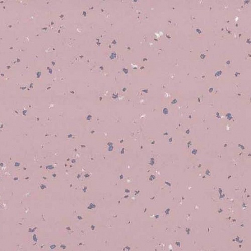 Taralay Premium Compact