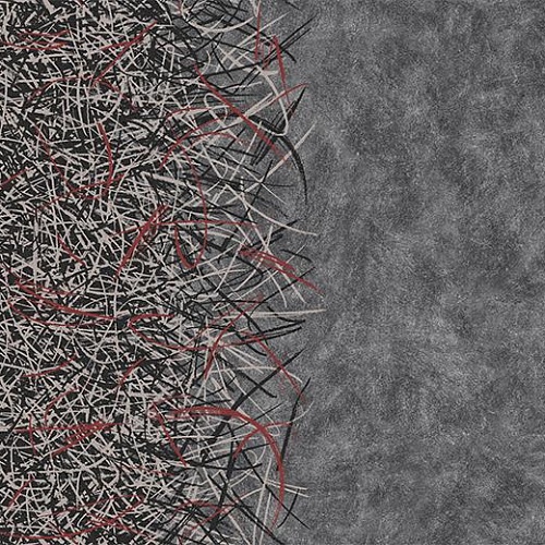 Flotex by Starck Vortex