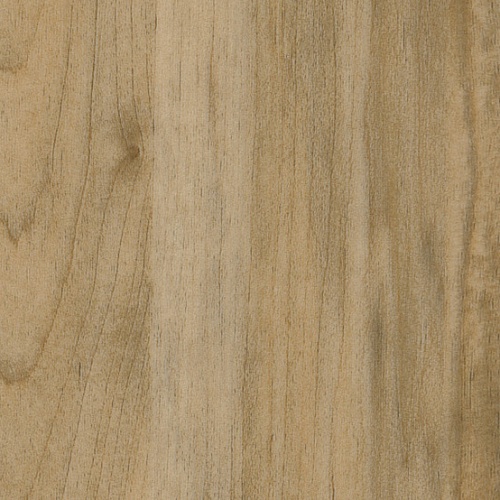 Taralay Impression Compact