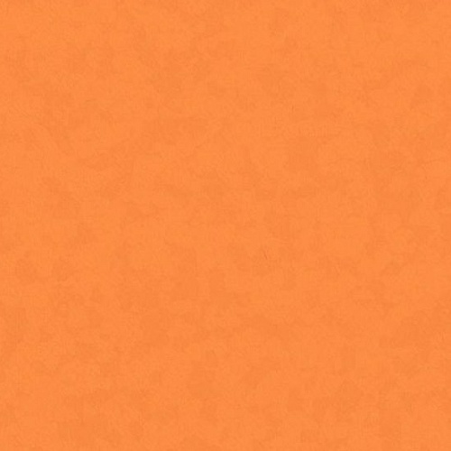 Taralay Premium Compact