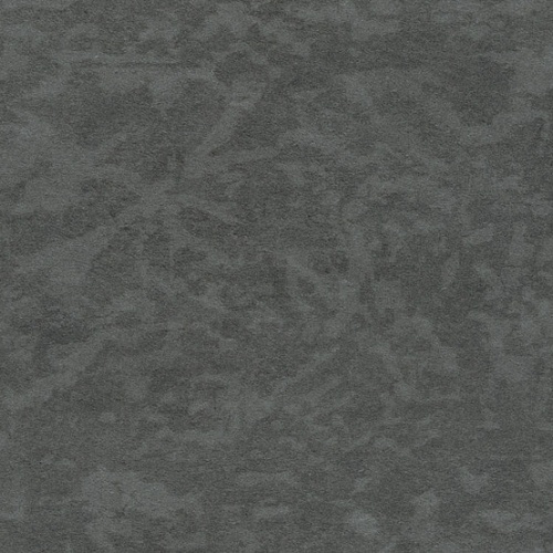 Taralay Impression Compact