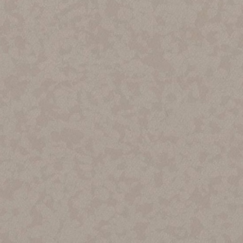 Taralay Premium Compact