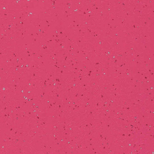 Taralay Element Compact