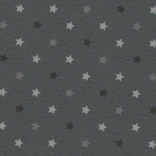 Taralay Impression Compact