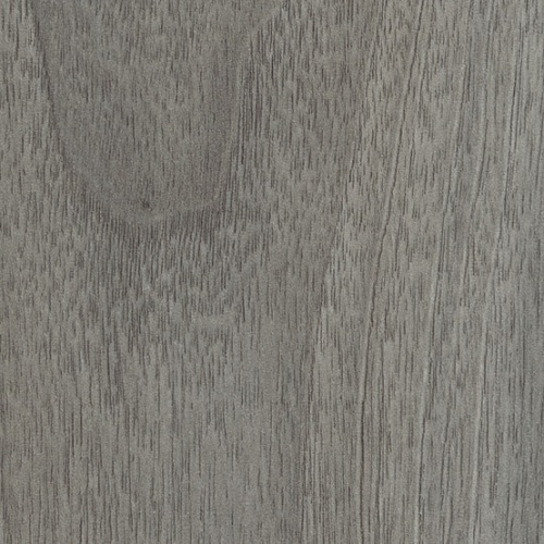 Taralay Impression Compact