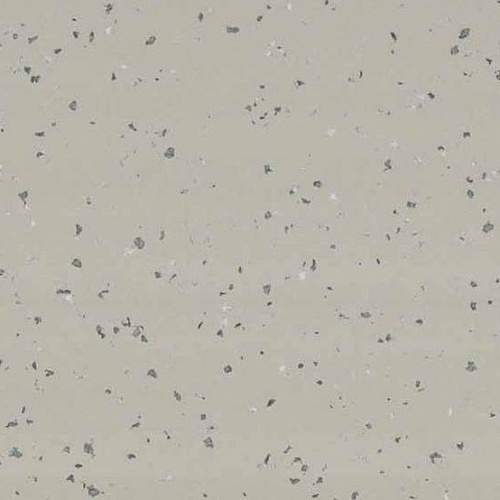 Taralay Premium Compact