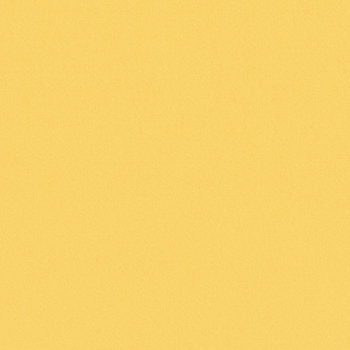 Taralay Impression Compact