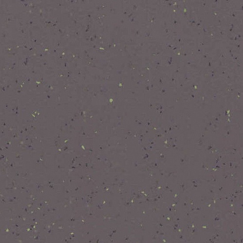 Taralay Element Compact