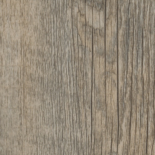 Taralay Impression Compact