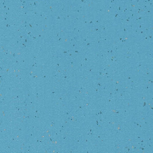 Taralay Element Compact