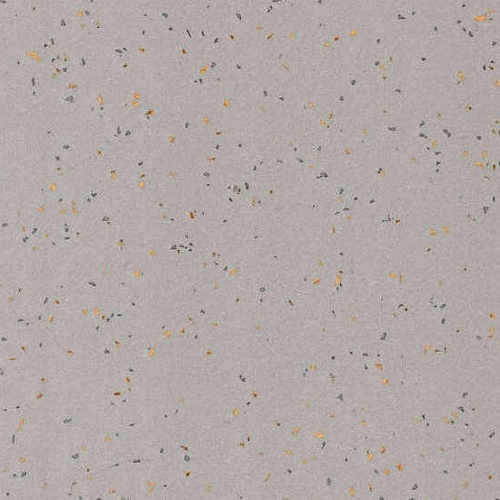 Taralay Element Compact