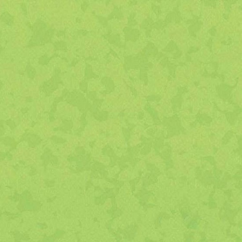 Taralay Premium Compact