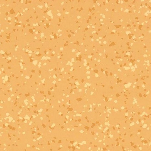 Taralay Premium Compact