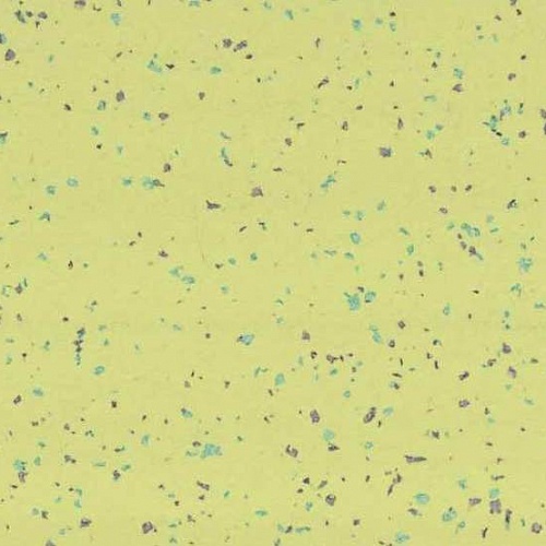 Taralay Premium Compact